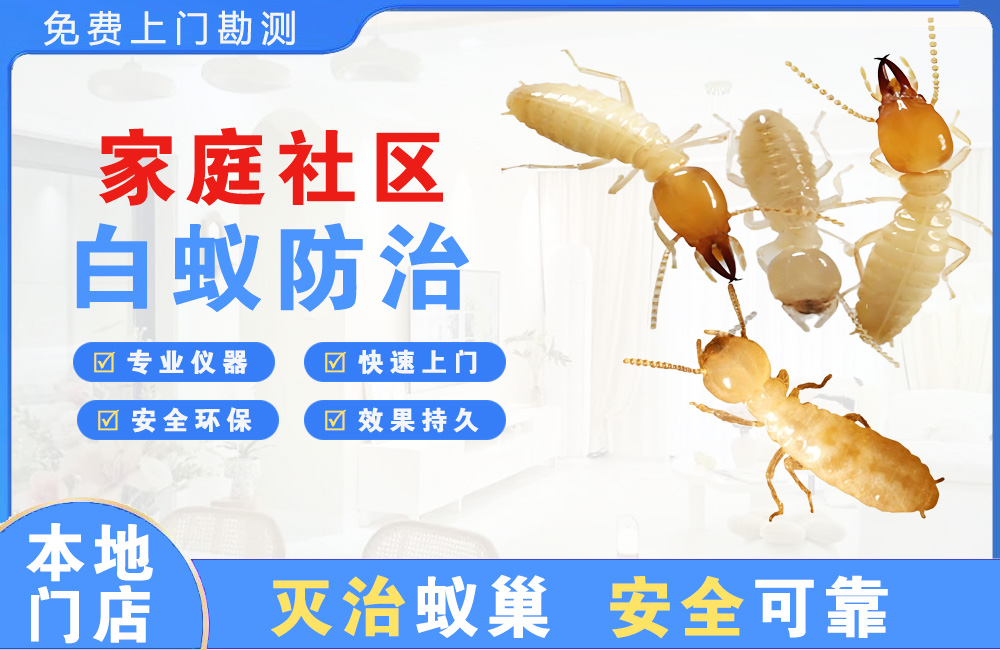 南平家庭社区白蚁防治