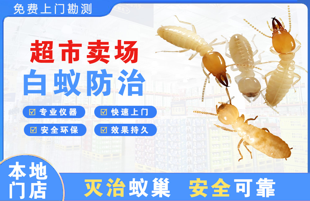 南平超市卖场白蚁防治
