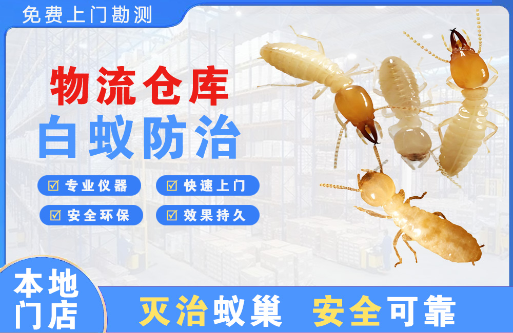 南平物流仓库白蚁防治