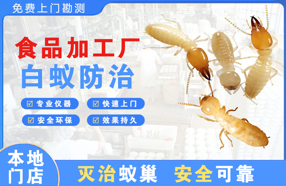 南平食品加工厂白蚁防治