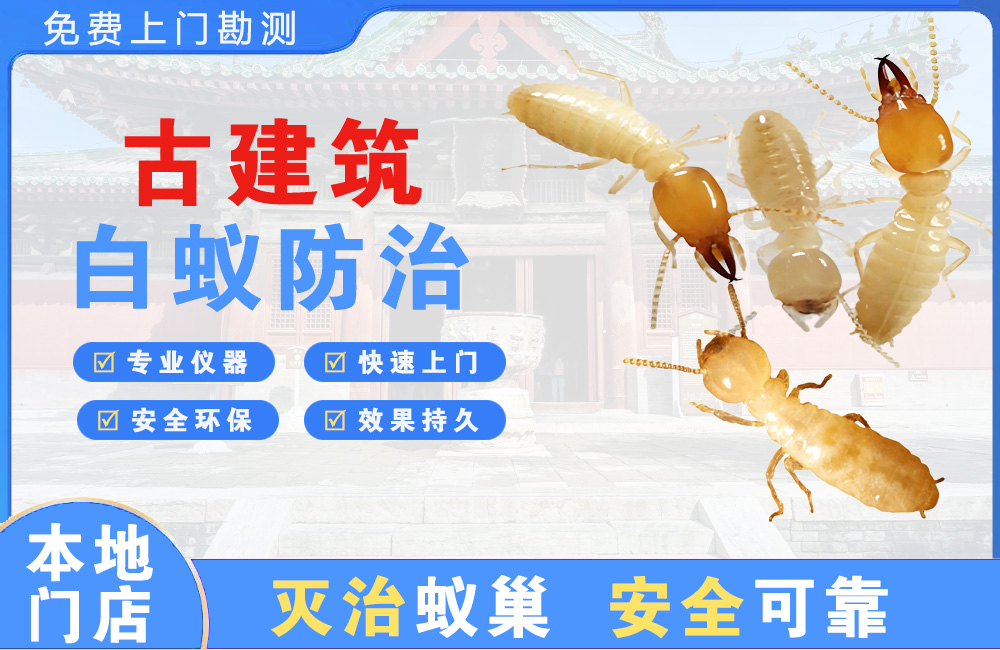 南平古建筑白蚁防治