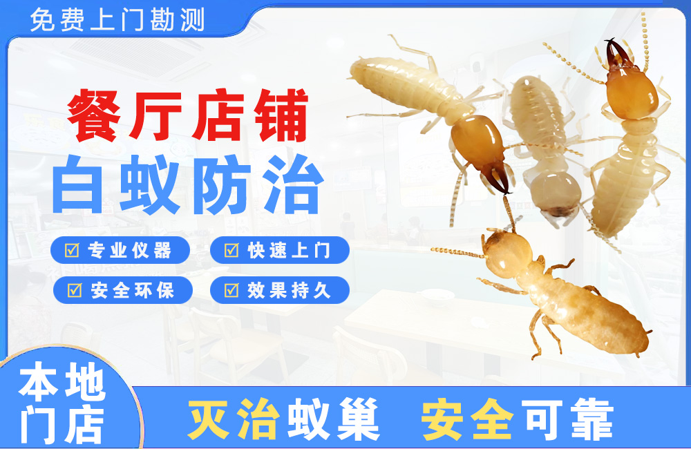 南平餐厅店铺白蚁防治
